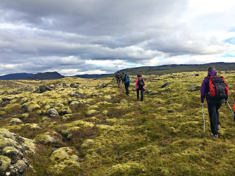 Crossing Icelandic landscape