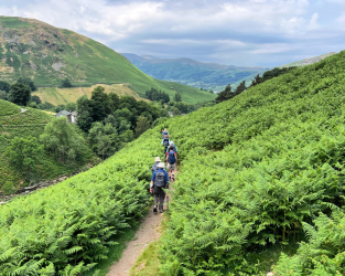 Hiking through field of ferns on the way to Glenridding