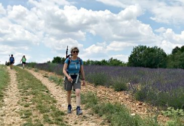 Hiking along lavender fields near  Roumoules