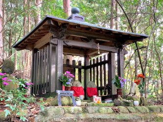 forest shrine kimono